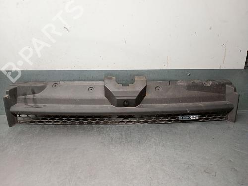 Used Grille FORD TRANSIT CONNECT (P65_, P70_, P80_) 1.8 TDCi (90 hp) 28489233