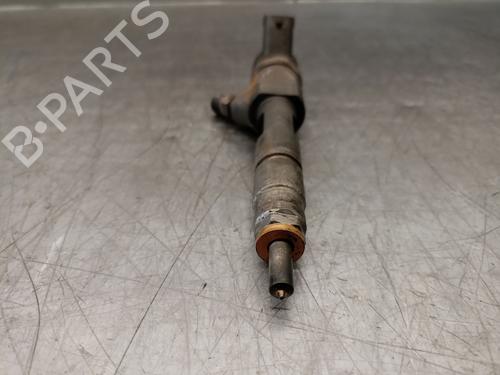 Injector RENAULT GRAND SCÉNIC III (JZ0/1_) 1.9 dCi (JZ0J, JZ0N, JZ1K, JZ1S) | BP29244954M100 