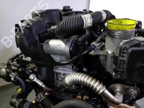 Engine FIAT PANDA (312_, 319_) 1.0 Mild Hybrid (312.PYD1B) | BP27867911M1 