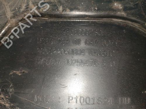 Fuel tank CITROËN C4 Picasso II 1.6 BlueHDi 120 | BP21791293C62 