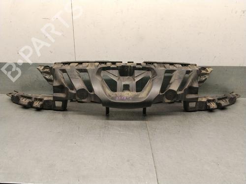 Frontplade/Frontkurv Frontplade/Frontkurv PEUGEOT 308 I (4A_, 4C_) 1.6 16V (120 hp) 35964502 35964502