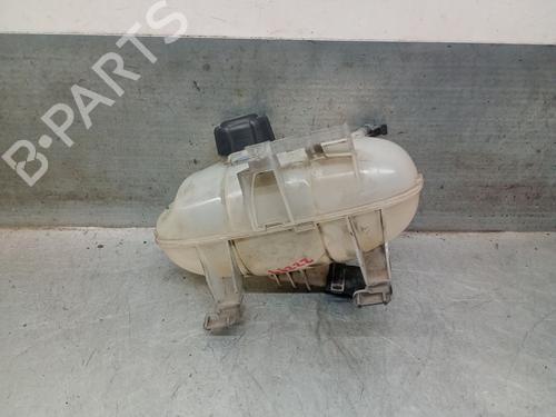 Used Expansion tank RENAULT TRAFIC III Bus (JG_) 1.6 dCi 95 (JGMR, JGMJ) (95 hp) 25776115
