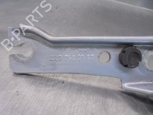 Hinge/Door check strap MERCEDES-BENZ S-CLASS (W220) S 430 (220.070, 220.170) | BP15218892C146 