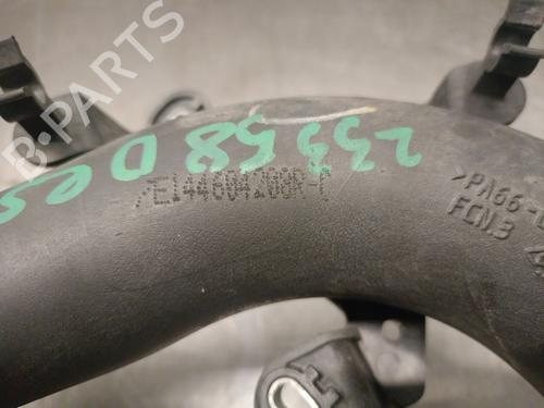 Pipe DACIA SANDERO II TCe 90 LPG (B8M1) | BP28054896M125 