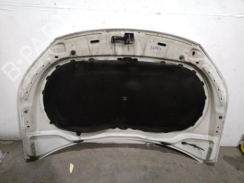 Hood VW TIGUAN (5N_) 2.0 TDI | BP29748085C1