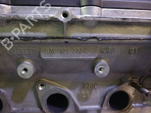 Cilinderkop AUDI A4 B7 (8EC) 2.0 TDI 16V | BP30728201M5 