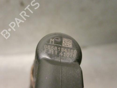 Injector CITROËN C4 Grand Picasso I (UA_) 2.0 HDi 138 | BP30686780M100