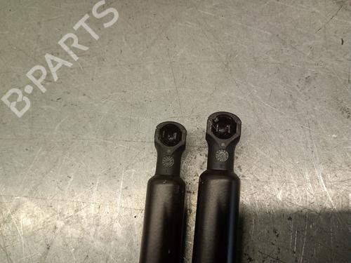 Tailgate lift support CITROËN XSARA PICASSO (N68) 1.6 HDi | BP25024674C138 