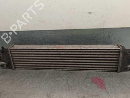 Used Intercooler FIAT BRAVO II (198_) [2006-2016]  20258338