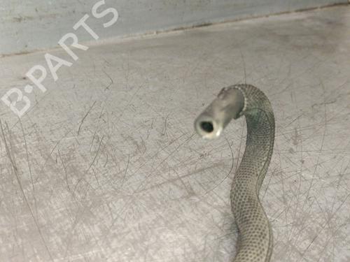 Pipe AUDI Q7 (4MB, 4MG, 4MQ) SQ7 TDI quattro | BP33758092M125 - Image 4