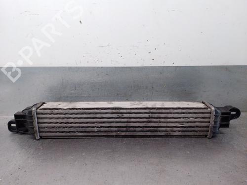 Intercooler OPEL MERIVA A MPV (X03) 1.7 CDTI (E75) | BP33426634M30 - Image 3
