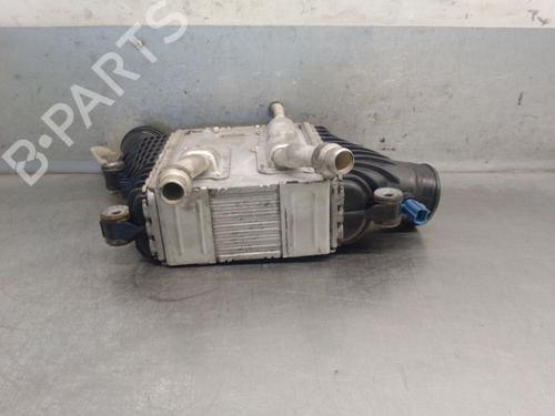 Intercooler JAGUAR XE (X760) 2.0 D | BP38536072M30  - Image 5