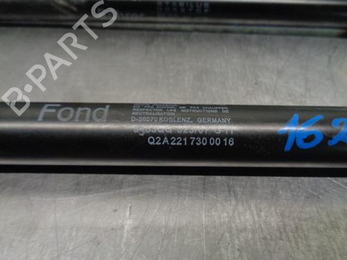 Tailgate lift support MERCEDES-BENZ S-CLASS (W221, V221) S 320 CDI (221.022, 221.122) | BP20264218C138 
