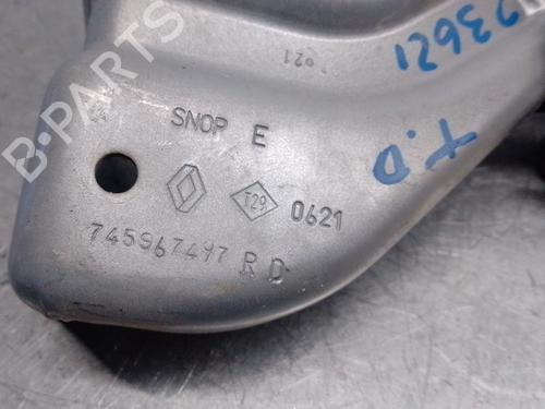Hinge/Door check strap RENAULT EXPRESS Box Body/MPV 1.5 Blue dCi 75 (F6AA) | BP29192299C146 
