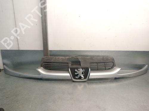 Used Grille PEUGEOT 206 Hatchback (2A/C) 1.9 D (69 hp) 27567348