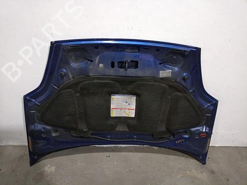 Hood FIAT GRANDE PUNTO (199_) 1.3 D Multijet (199.AXD11, 199.AXD1A, 199.AXD1B,... | BP27889659C1 
