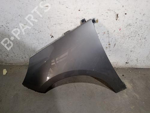 Used Left front fenders RENAULT SCÉNIC III (JZ0/1_) 1.5 dCi (110 hp) 27506446