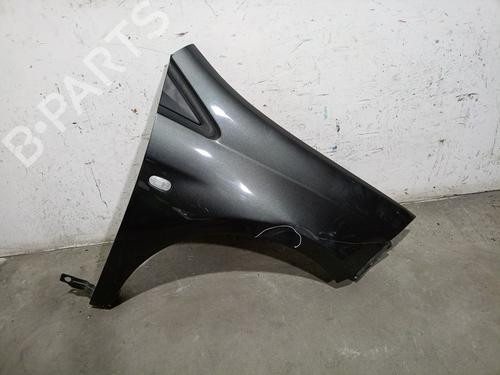 Used Left front fenders FIAT BRAVO II (198_) 1.9 D Multijet (198AXB1A) (120 hp) 22726475
