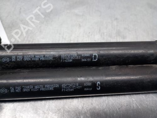 Hood lift support RENAULT EXPRESS Box Body/MPV 1.5 Blue dCi 75 (F6AA) | BP29446418C139