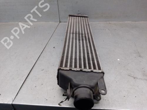 Intercooler FIAT LINEA (323_, 110_) 1.6 D Multijet | BP29605362M30