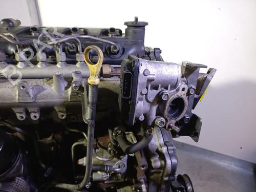 Engine NISSAN PATHFINDER III (R51) 2.5 dCi 4WD | BP29512463M1 