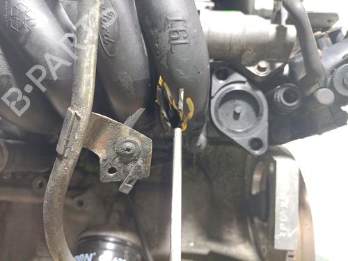 Engine FORD FOCUS I (DAW, DBW) 1.6 16V | BP31026339M1 