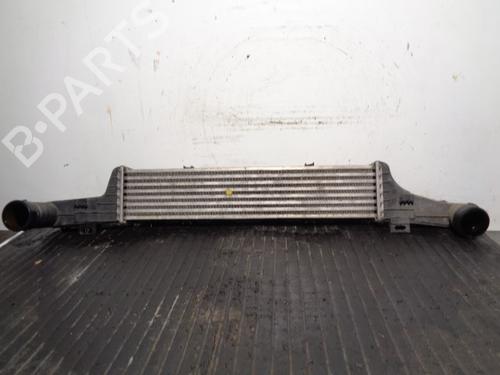 Used Intercooler MERCEDES-BENZ E-CLASS (W210) [1995-2003]  13758268