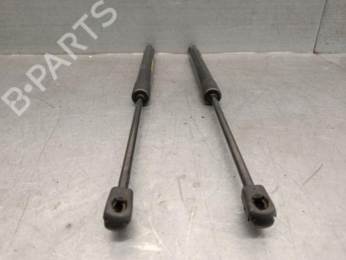 Tailgate lift support VW GOLF V (1K1) 1.9 TDI 4motion | BP29520668C138 