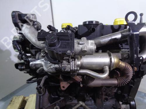 Engine RENAULT SCÉNIC III (JZ0/1_) 1.5 dCi | BP13113826M1 