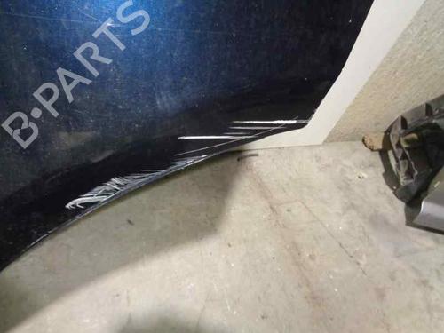 Left rear door LAND ROVER RANGE ROVER SPORT I (L320) 2.7 D 4x4 | BP6548057C4 