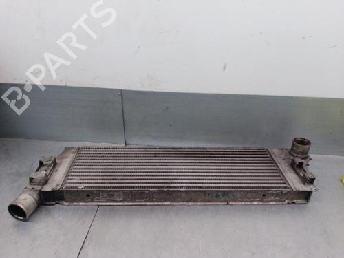 Intercooler RENAULT MEGANE II (BM0/1_, CM0/1_) 1.5 dCi (BM02, BM13, BM2A, CM02, CM13) | BP29325748M30 