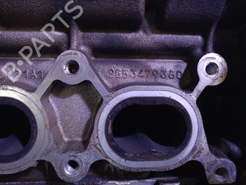 Engine PEUGEOT 407 (6D_) 2.2 16V (6D3FYH, 6D3FYE) | BP29632921M1 