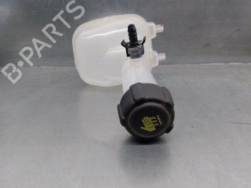 Expansion tank RENAULT CAPTUR II (HF_) TCe 100 (HFMT) | BP17772052C120 