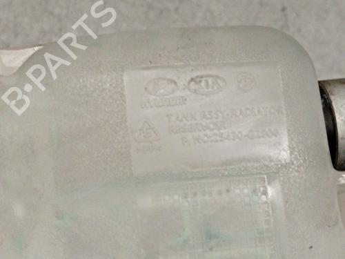 Expansion tank HYUNDAI IONIQ (AE) 1.6 GDI Hybrid | BP30150002C120