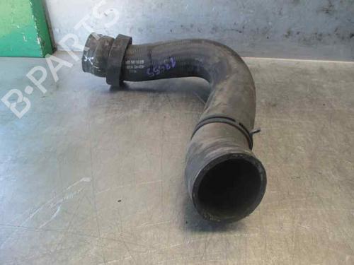 Pipe SEAT ALHAMBRA (7V8, 7V9)  | BP20259871M125 