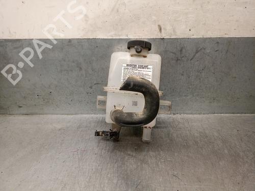 Expansion tank TOYOTA COROLLA Estate (_E21_) 1.8 Hybrid (ZWE211W) | BP25238628C120 