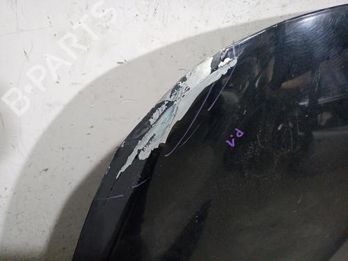 Hood FIAT TIPO Saloon (356_, 357_) 1.4 LPG (356SXF1B) | BP24808376C1 