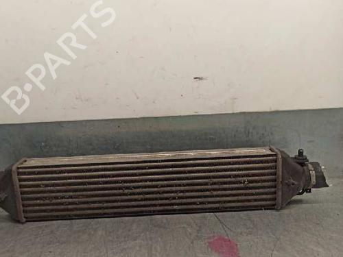 Intercooler FIAT BRAVO II (198_)  | BP20258338M30