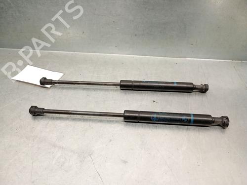 Hood lift support BMW 5 (E39)  | BP29808641C139 