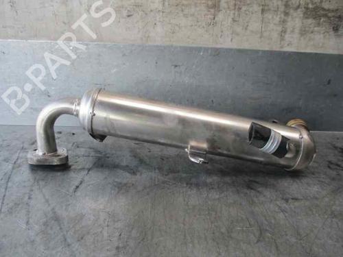 Egr OPEL MERIVA A MPV (X03) 1.7 CDTI (E75) | BP20255870M69 