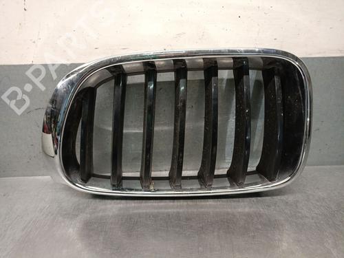 Used Grille Grille BMW X4 (F26) xDrive 20 d (190 hp) 40035966 40035966