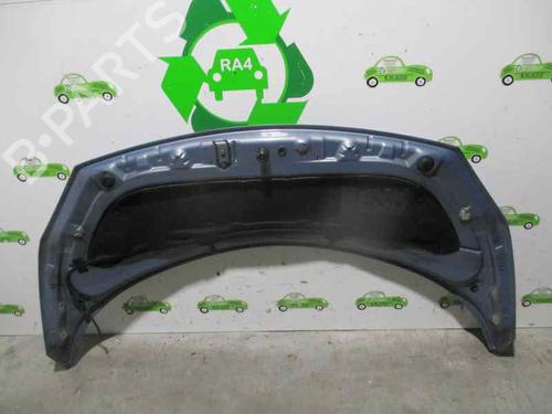 Hood RENAULT GRAND SCÉNIC II (JM0/1_) 1.9 dCi (JM0G, JM12, JM1G, JM2C) | BP2061381C1 