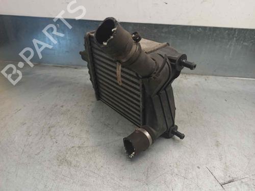 Intercooler LANCIA MUSA (350_) 1.3 D Multijet (350.AXG11, 350.AXG1A) | BP6990303M30 