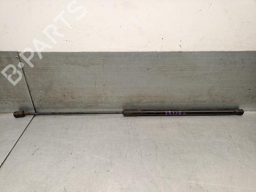 Hood lift support AUDI A3 (8P1) 2.0 TDI 16V | BP26220995C139 