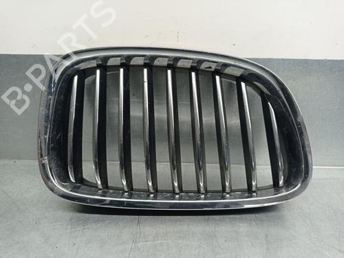 Used Grille BMW 5 Gran Turismo (F07) 520 d (184 hp) 11289581