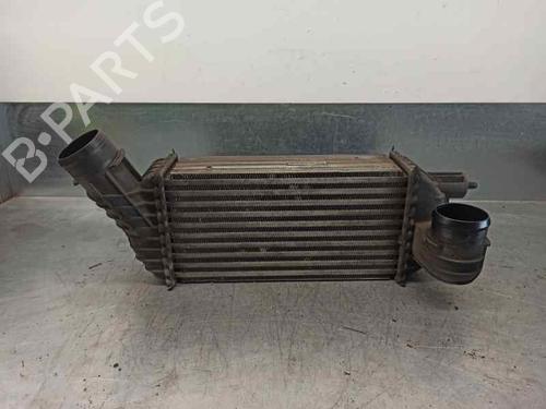 Intercooler PEUGEOT 3008 I MPV (0U_) 2.0 HDi 150 / BlueHDi 150 | BP6021718M30 