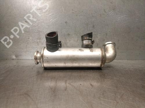 EGR-Ventil PEUGEOT BIPPER (AA_)  | BP30002153M69 