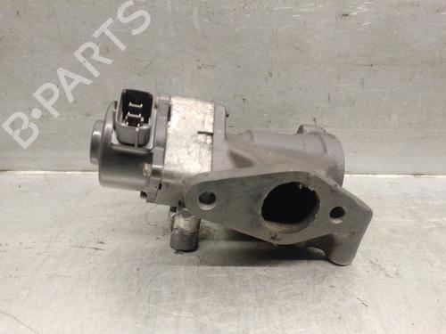 Egr NISSAN NAVARA NP300 (D40)  | BP23101848M69 