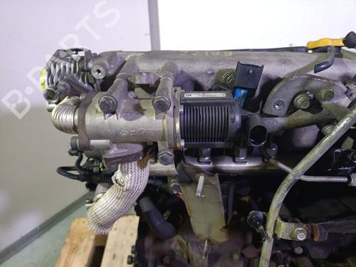 Engine FIAT STILO Multi Wagon (192_) 1.9 D Multijet | BP23653584M1 - Image 10