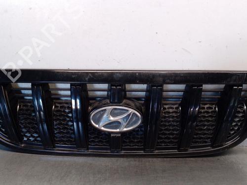 grille-hyundai-terracan-hp-2001-2002-2003-2004-2005-2006-2007-2008-29478553 main image